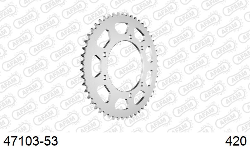 AFAM Tagumine hammasratas 47103-53, 53z, samm 420, teras
