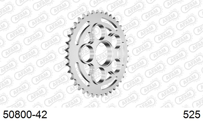 AFAM Tagumine hammasratas 50800-42, 42z, samm 525, teras
