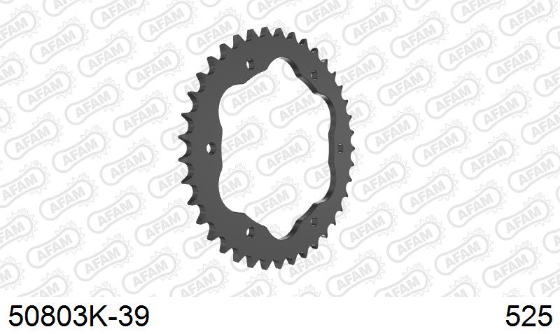 AFAM Tagumine hammasratas 50803K-39, 39z, samm 525, teras
