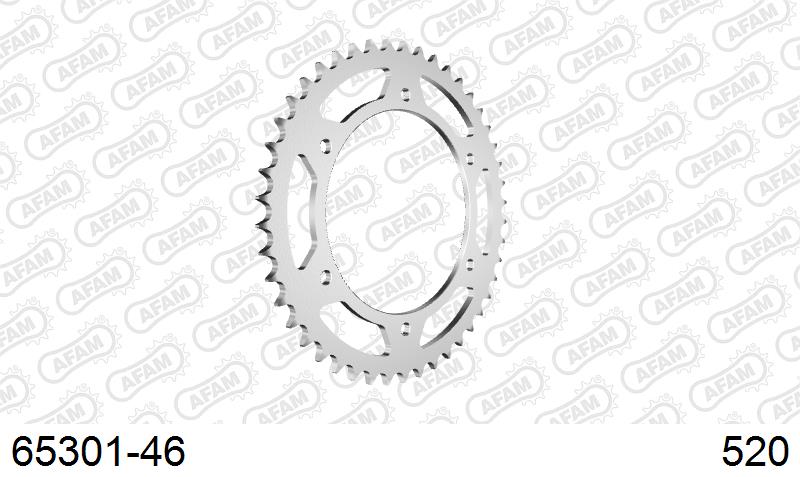 AFAM Tagumine hammasratas 65301-46, 46z, samm 520, teras