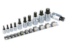 Magnetiliste Spline-otsakute komplekt 11 osa