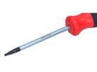 ROOKS Kruvikeeraja TORX T9 x 60 mm